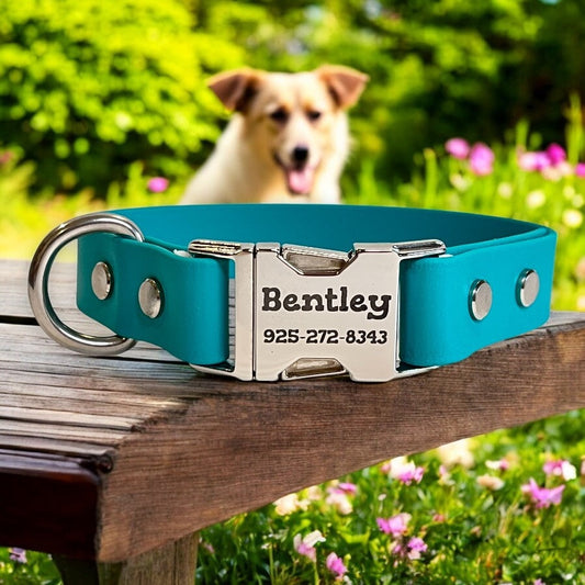 Personalized Dog Collar