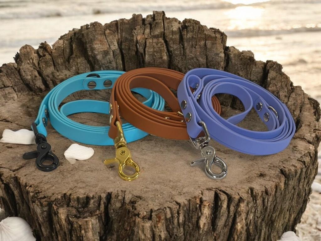 BioThane Dog Leashes - Dog Town Collars