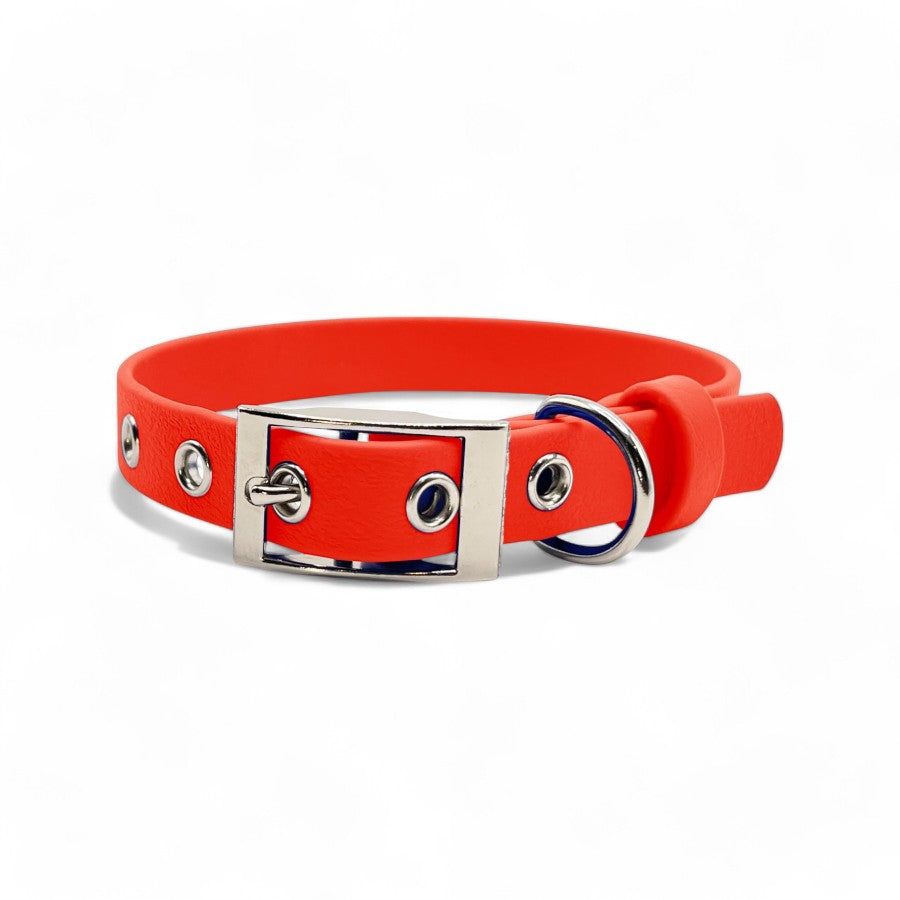 5/8" Flat Buckle Dog Collar – Waterproof BioThane® for Style & Durability