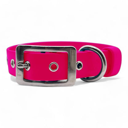 BioThane Waterproof Dog Collar - Dog Town Collars