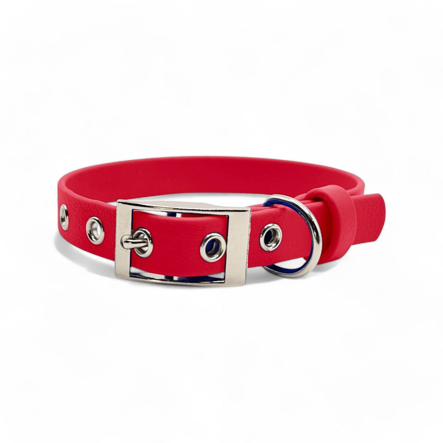 5/8" Flat Buckle Dog Collar – Waterproof BioThane® for Style & Durability