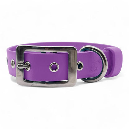 BioThane Waterproof Dog Collar - Dog Town Collars