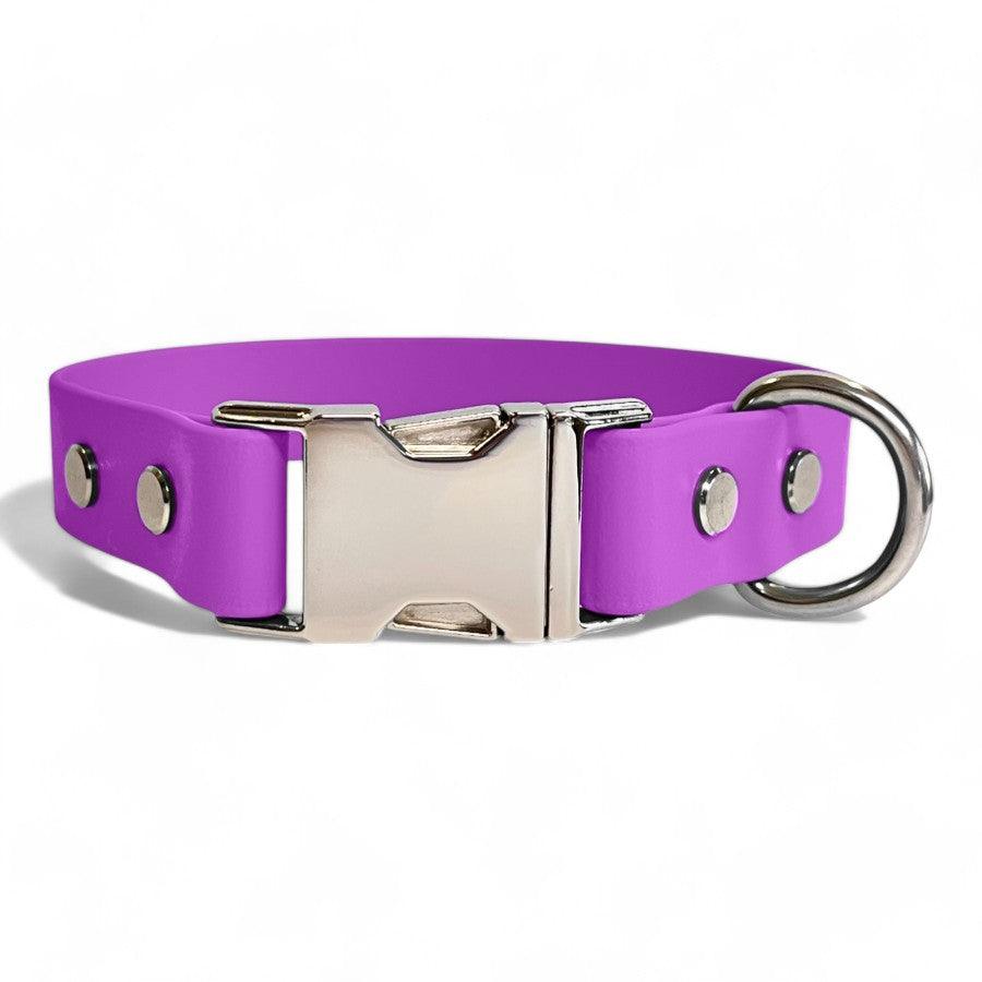 Orchid BioThane dog collar by Dog Town Collars, featuring durable Chicago screws, a silver buckle clasp, and a sturdy D-ring for tags or leashes.