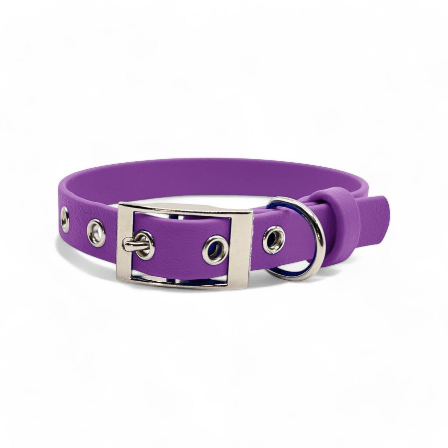 5/8" Flat Buckle Dog Collar – Waterproof BioThane® for Style & Durability