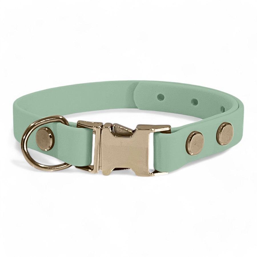 Small Dog BioThane Quick Release Collar