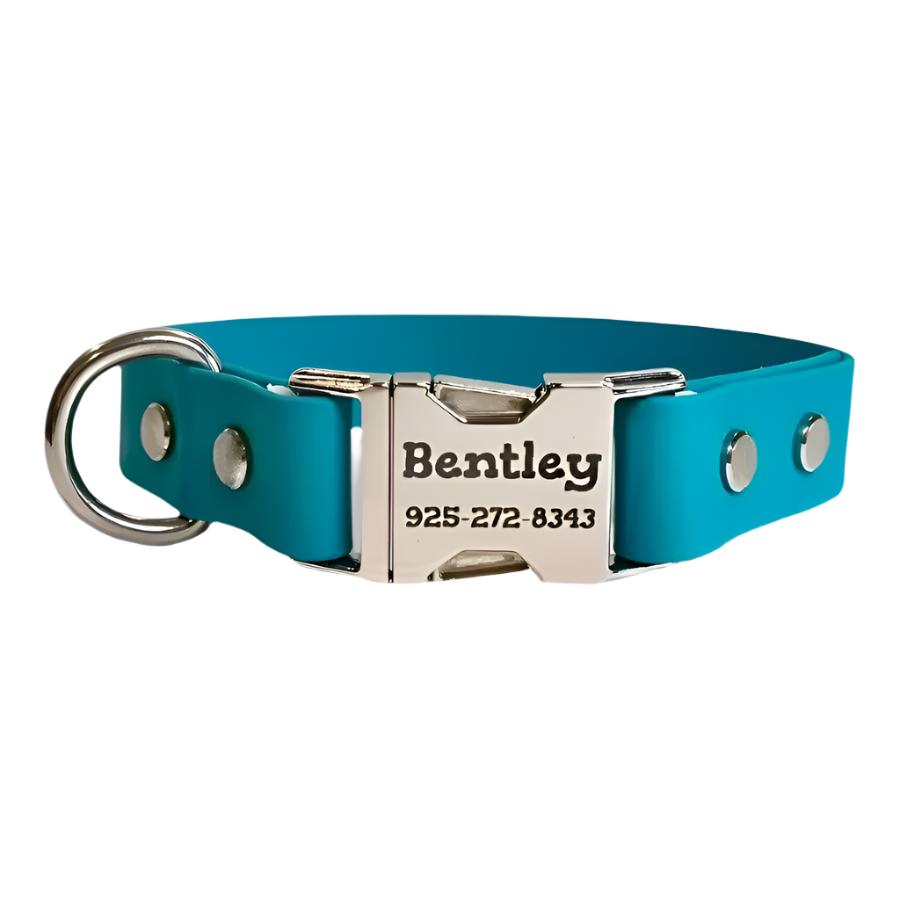 Personalized dog collar