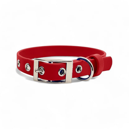 5/8" Flat Buckle Dog Collar – Waterproof BioThane® for Style & Durability