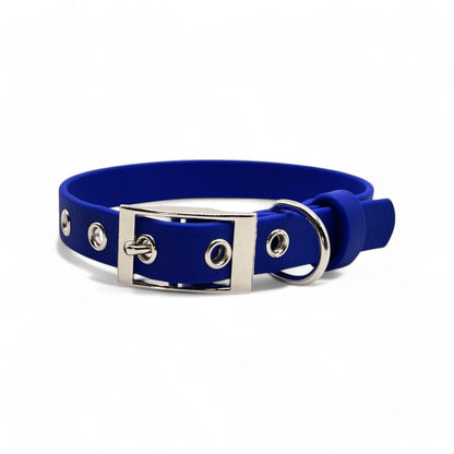 5/8" Flat Buckle Dog Collar – Waterproof BioThane® for Style & Durability