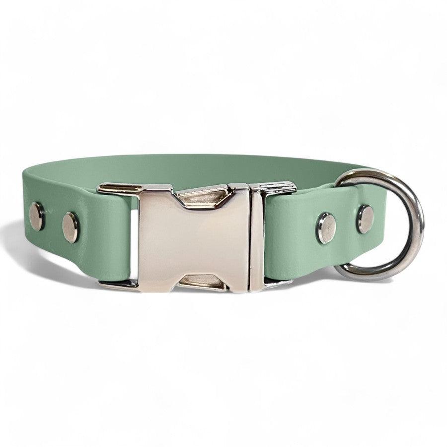 Sage BioThane dog collar by Dog Town Collars, featuring durable Chicago screws, a silver buckle clasp, and a sturdy D-ring for tags or leashes.