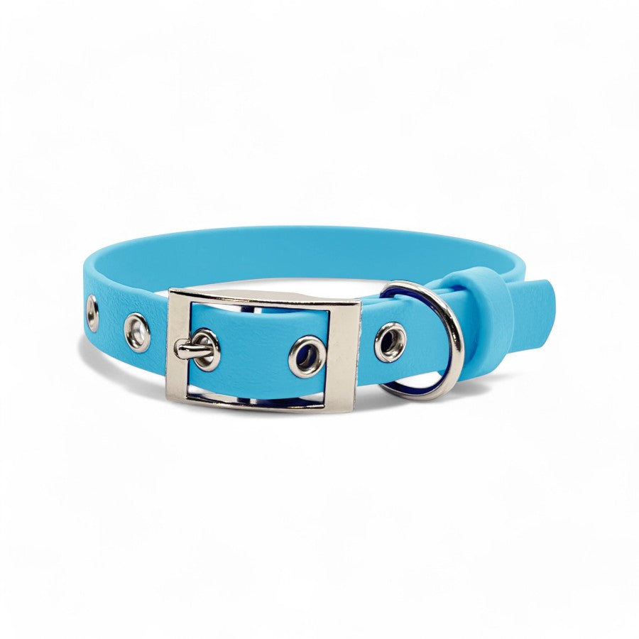 5/8" Flat Buckle Dog Collar – Waterproof BioThane® for Style & Durability