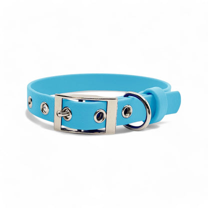 5/8" Flat Buckle Dog Collar – Waterproof BioThane® for Style & Durability