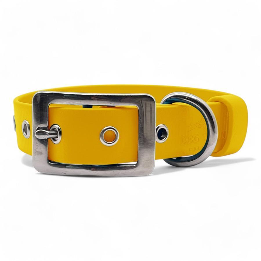 BioThane Waterproof Dog Collar - Dog Town Collars