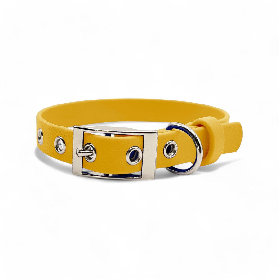 5/8" Flat Buckle Dog Collar – Waterproof BioThane® for Style & Durability