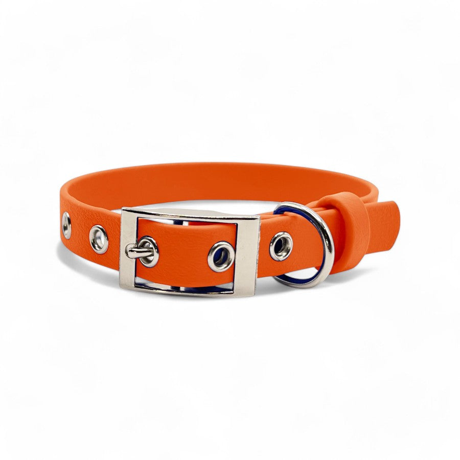 5/8" Flat Buckle Dog Collar – Waterproof BioThane® for Style & Durability