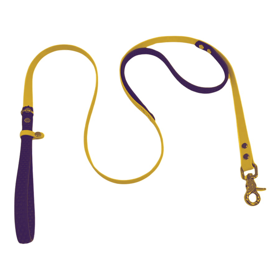 BioThane Traffic Handle Dog Leash