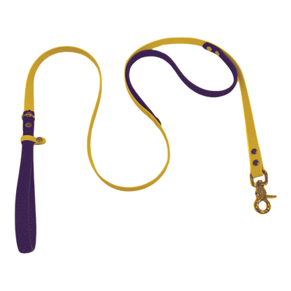 BioThane Traffic Handle Dog Leash