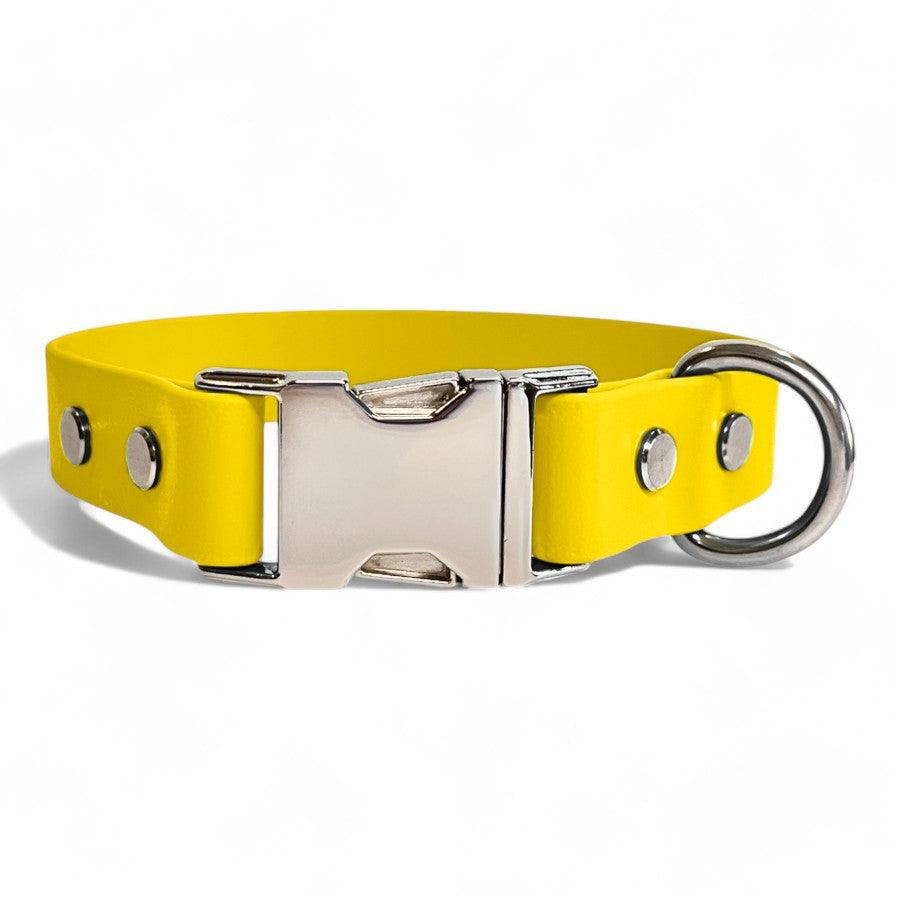 Yellow BioThane dog collar by Dog Town Collars, featuring durable Chicago screws, a silver buckle clasp, and a sturdy D-ring for tags or leashes.